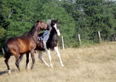 <b>H&eacute;lios, 2 ans, ao&ucirc;t 2019</b>                                                               